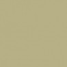 Poudre EFCOLOR 10 ml