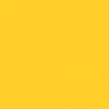 Poudre EFCOLOR 10 ml