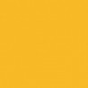 Poudre EFCOLOR 10 ml
