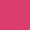 Poudre EFCOLOR 10 ml