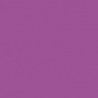Poudre EFCOLOR 10 ml