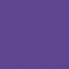 Poudre EFCOLOR 10 ml