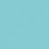 Poudre EFCOLOR 10 ml