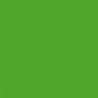 Poudre EFCOLOR 10 ml