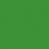 Poudre EFCOLOR 10 ml