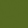Poudre EFCOLOR 10 ml