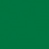Poudre EFCOLOR 10 ml