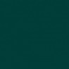 Poudre EFCOLOR 10 ml