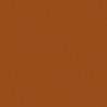 Poudre EFCOLOR 10 ml