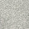 Poudre EFCOLOR pailleté 10 ml