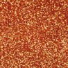 Poudre EFCOLOR pailleté 10 ml