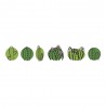 Washi Tape - cactus family, 10m