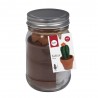 Kit Cactus couture