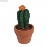 Kit Cactus couture