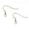 2 Crochets d'oreille, 20 mm