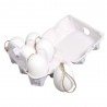 6 Oeufs en plastique