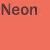 Poudre EFCOLOR Néon 10 ml