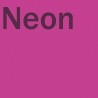 Poudre EFCOLOR Néon 10 ml