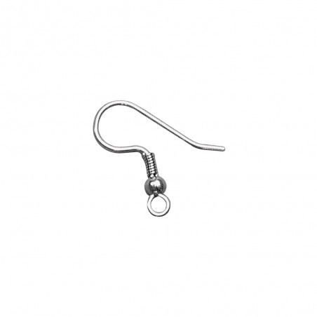 2 Crochets d'oreille, Acier Chirurgical