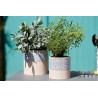 set de 3 vases ronds en bois
