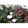 Ensemble de 3 meubles MINI gardening