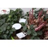 Ensemble de 3 meubles MINI gardening