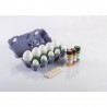 Kit oeufs et peinture