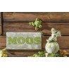 Peinture Easy Moos