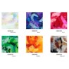 Assortiment de plumes