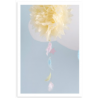 Assortiment de plumes