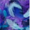Assortiment de plumes