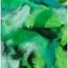 Assortiment de plumes