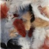 Assortiment de plumes