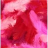 Assortiment de plumes