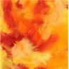Assortiment de plumes