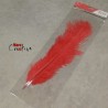 Plume d'autruche colorée