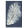 Plume d'autruche colorée