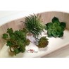 Plantes synthétique pour Mini gardening