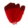 6 Plumes pailletées