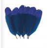 6 Plumes pailletées