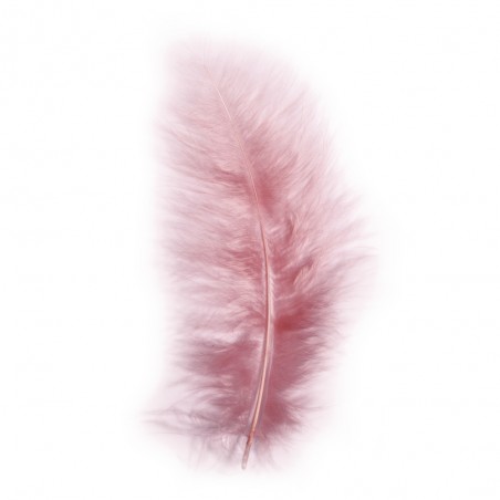Plumes de décoration vieux rose