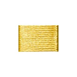 Mouliné Satin DMC  1008F