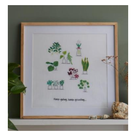 Kit broderie Plantes d'intérieur