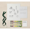 Kit broderie Plantes d'intérieur