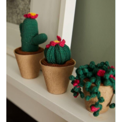 Kit crochet: cactus