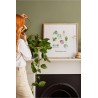 Kit broderie Plantes d'intérieur