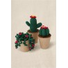 Kit crochet: cactus