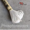 Mouliné effet lumière DMC 317w