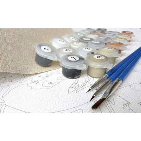 Peinture par numéros Figured'art