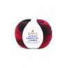 DMC Merino Essentiel 5 ombré - 150gr